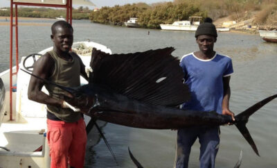 Un bon pêcheur ne blâme jamais le rivière.
